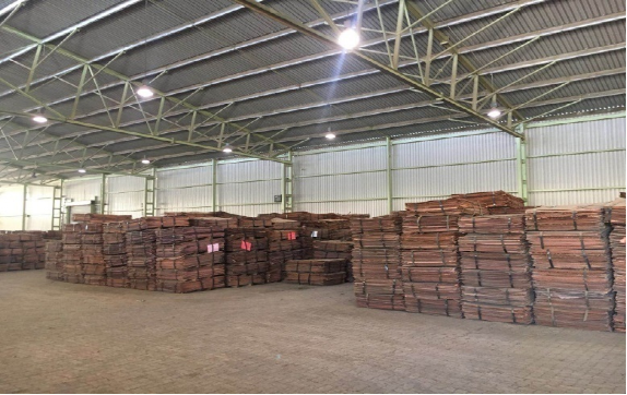 W020241121363319384830