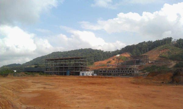 W020241121368854245434