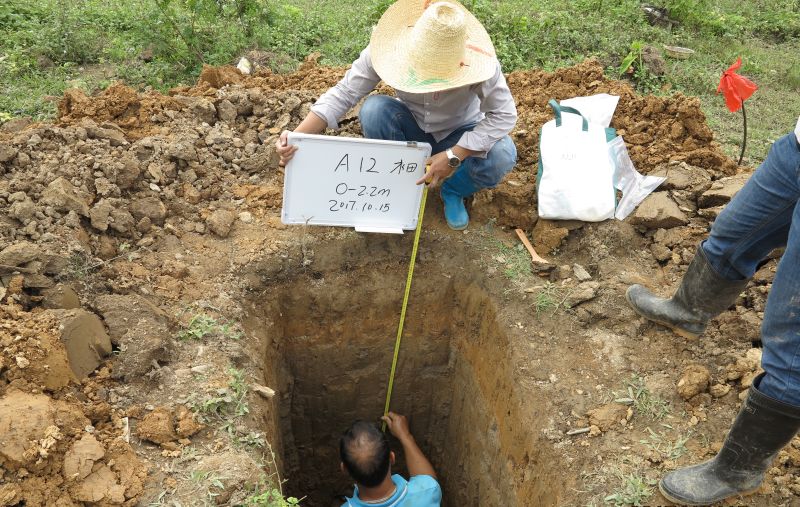 W020241119527184753798