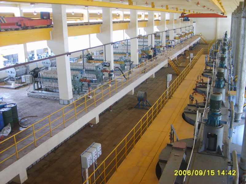 W020241119525556704331