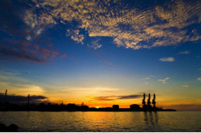 W020241119525557428899