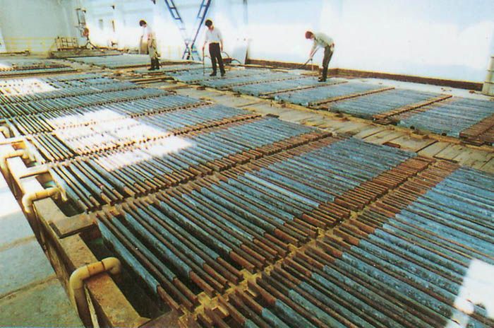 W020241119525560627181